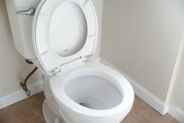 Dealing with a Clogged Toilet? Top Tips from Skokie Plumbers to Unclog Toilets Safely