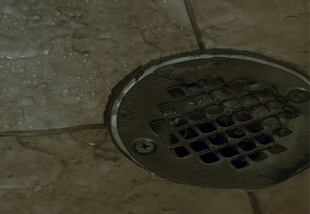 Top Signs You Need Professional Drain Cleaning in Skokie Homes